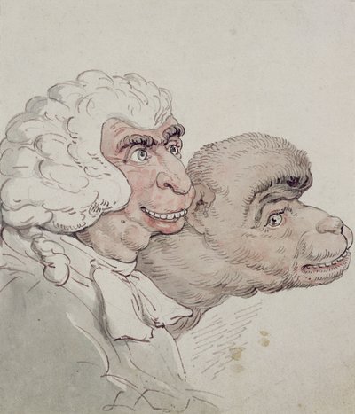 Caricature of a Judge by Thomas Rowlandson